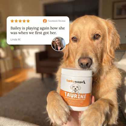 Stop The Decline In Your Dog With BarkySupps™ Taurine