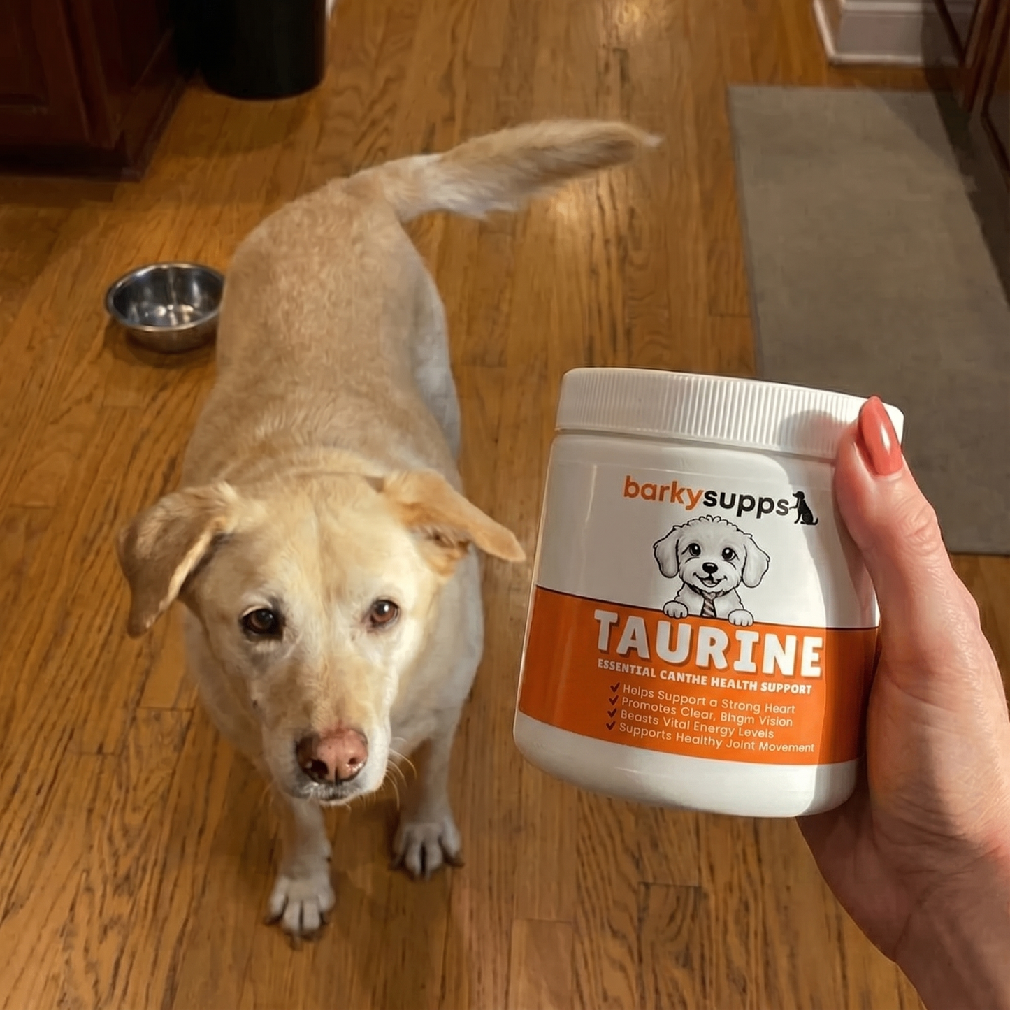Stop The Decline In Your Dog With BarkySupps™ Taurine