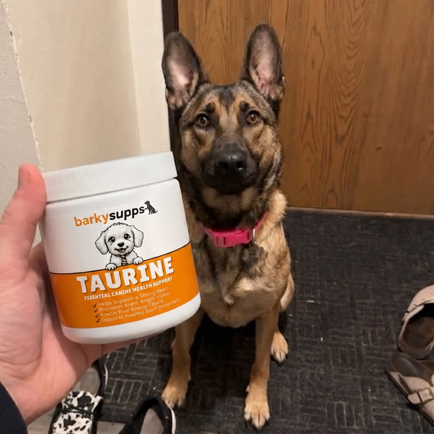 Stop The Decline In Your Dog With BarkySupps™ Taurine